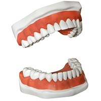 Flushing Dentures and Partial Dentures
